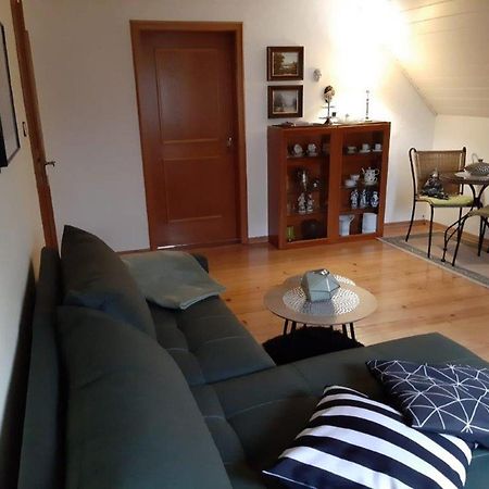 Ferienwohnung Schaeffer 雷根斯堡 外观 照片