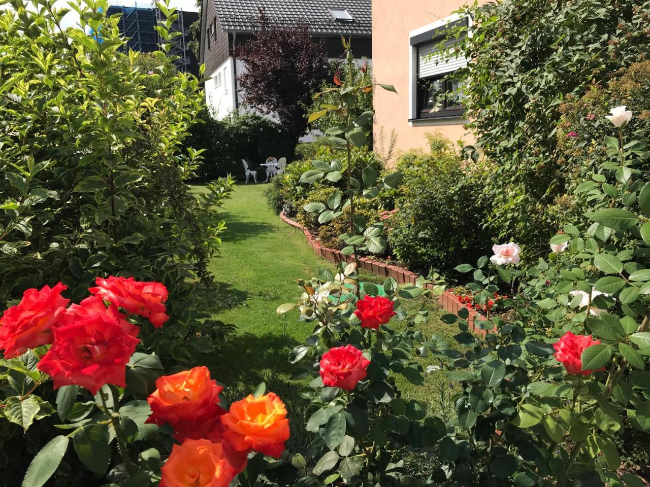 Ferienwohnung Schaeffer 雷根斯堡 外观 照片